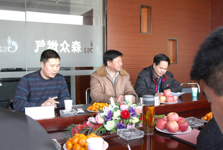 林口县政府与半岛站线平台-半岛online(中国)燃气项目洽谈.png
